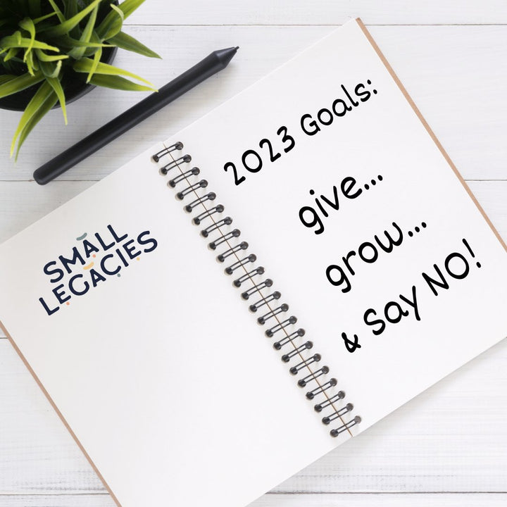 A New Way of Setting Resolutions:  GIVE, GROW and Saying NO - Small Legacies