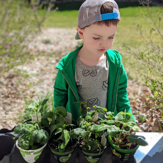 Row By Row: Ideas for involving your kids in the summer garden - Small Legacies